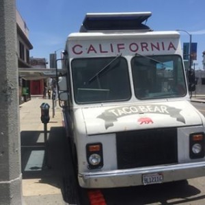 CA Taco Bear - Bumper