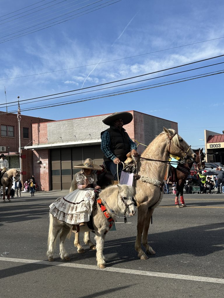 A cowboy rides a horse on a saddle. He holds a rope connected to the harness of a miniature horse. A young girl dressed in a white dress sits on top of the miniature horse. In the background is another horse. They stand on the concrete. Along the sidewalk, the crowd watches.